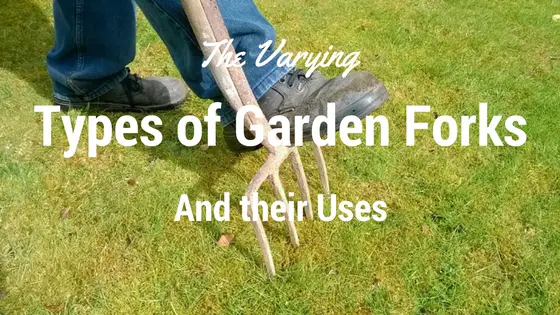 The Varying Types of Garden Forks and Their Uses