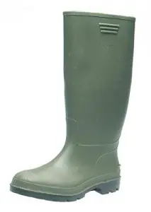 Dunlop Wellington Boot Photo