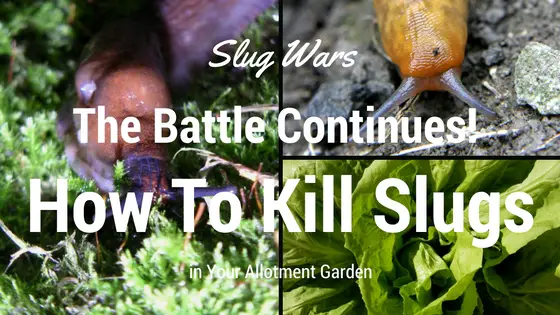 How to Kill Slugs.